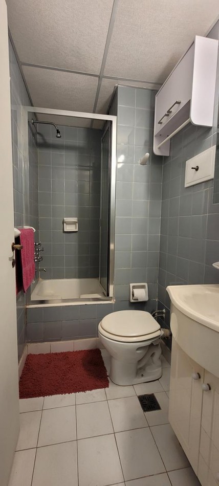PALERMO, Depto. 1 amb dividido. AMOBLADO, c/ elctrodomesticos.  2o piso, interno, IMPECABLE. Billinghurst y Paraguay. APTO PROFESIONAL