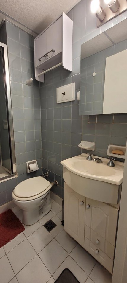 PALERMO, Depto. 1 amb dividido. AMOBLADO, c/ elctrodomesticos.  2o piso, interno, IMPECABLE. Billinghurst y Paraguay. APTO PROFESIONAL